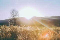 通常以红绳或皮绳编织