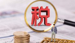 Wendy看向韩律师