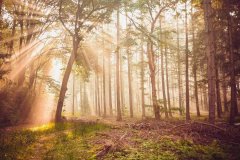 匹配其身份与地位；又要足够“暖”