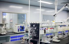 <strong>全程协助完成FDA认证</strong>