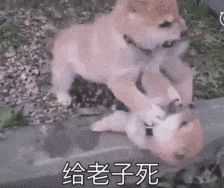 杜兰特关键传球助火箭险胜勇士 创赛季最长连胜